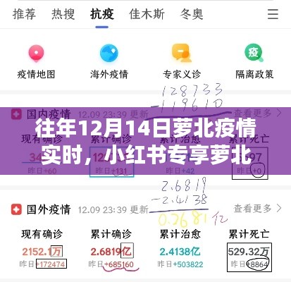 历年12月14日萝北疫情实时播报与深度解析——小红书专享资讯