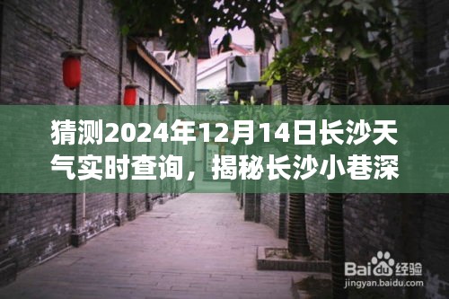 新闻中心 第225页