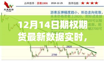 最新实时数据报告，深度解析12月14日期权期货市场动态