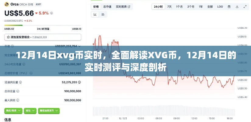 12月14日XVG币实时测评与深度解读，全方位剖析XVG币行情