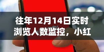 小红书独家揭秘，历年12月14日浏览人数巅峰背后的故事与实时数据监控分析。