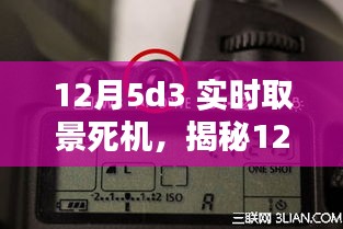 揭秘与解析，12月5D3实时取景死机问题及应对之策