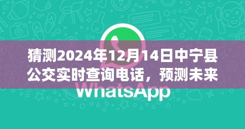 2024年中宁县公交实时查询电话预测与探讨，多角度立场分析