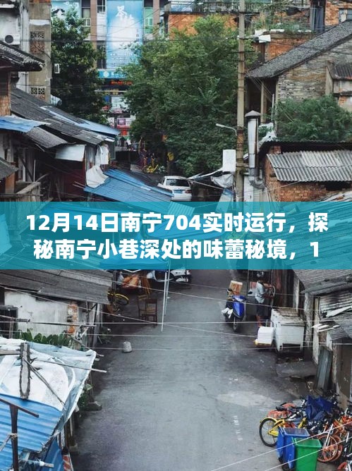 探秘南宁小巷味蕾秘境，12月14日南宁704实时运行体验之旅