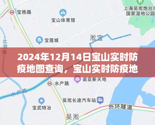 宝山实时防疫地图智能查询，科技赋能筑牢防线，开启智能防疫新时代