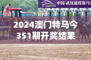 2024澳门特马今351期开奖结果：演绎激情与速度的较量