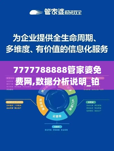 7777788888管家婆免费网,数据分析说明_铂金版6.374