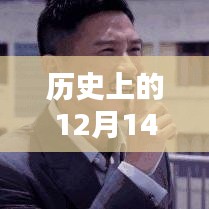 揭秘历史12月14日电影票房数据，实时查询平台解析与数据揭秘