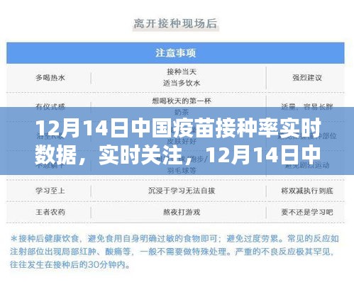 12月14日中国疫苗接种率实时数据与解析