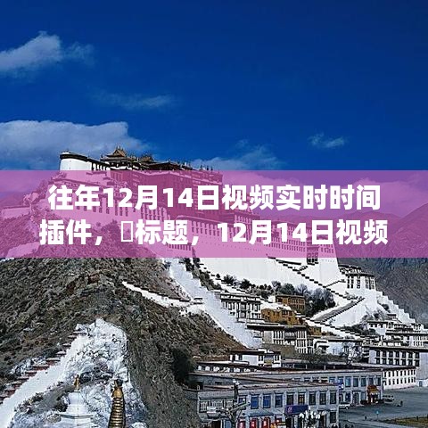 12月14日视频实时时间插件，与自然共舞，心灵之旅启程