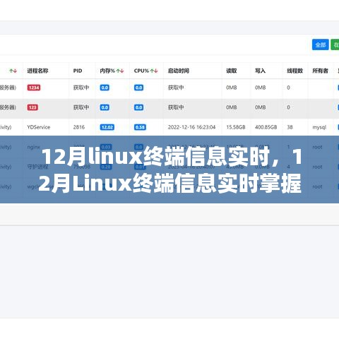 掌握Linux终端实时信息，优化系统监控与管理的关键