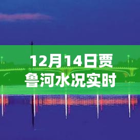 贾鲁河畔温馨水日，爱与陪伴的十二月十四日实时水况