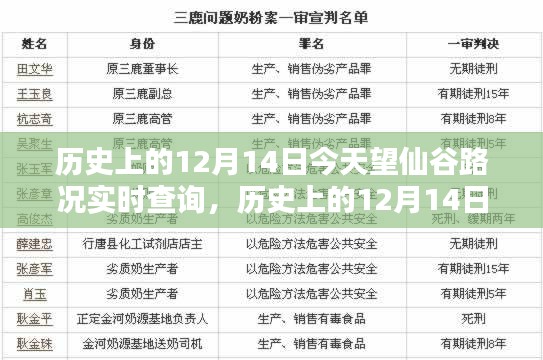 历史上的12月14日望仙谷路况实时查询，深度分析与观点阐述的探讨日