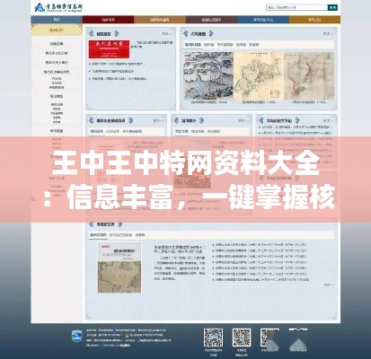 王中王中特网资料大全：信息丰富，一键掌握核心资源