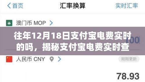揭秘支付宝电费实时查询功能，历年12月18日电费查询详解