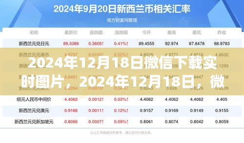 微信下载实时图片，寻找内心平静的绿色之旅纪实分享