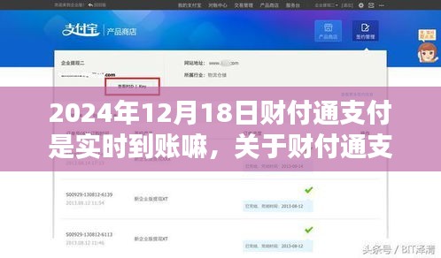 关于财付通支付实时到账的详解，操作指南及2024年12月18日的实时到账情况（初学者/进阶用户必看）