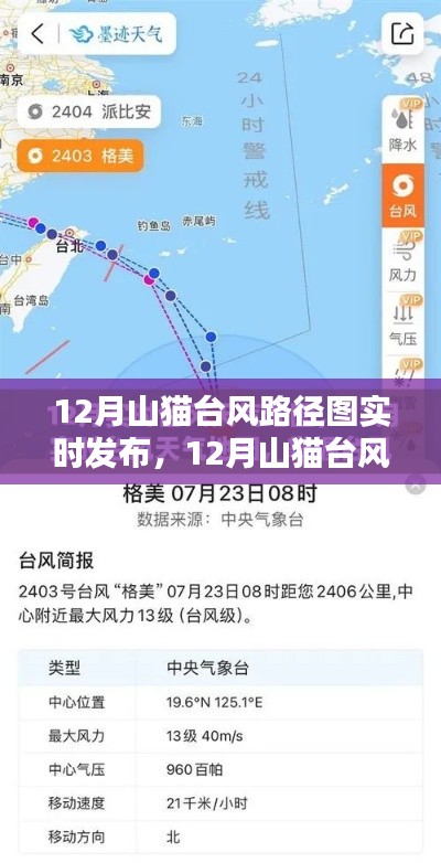 12月山猫台风路径实时发布，关注天气保障安全出行