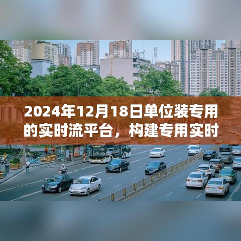 聚焦未来数字化转型之路，专用实时流平台的构建与单位数字化转型的启示（2024年12月18日）