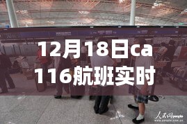 独家揭秘，12月18日CA116航班实时动态，温暖归途全程追踪报道