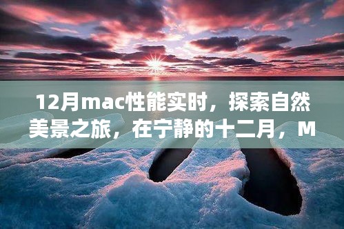 12月Mac性能实时，探索自然美景，心灵宁静之旅