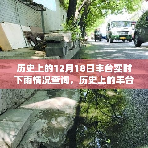 揭秘丰台历史雨幕，十二月十八日实时下雨情况查询与回顾