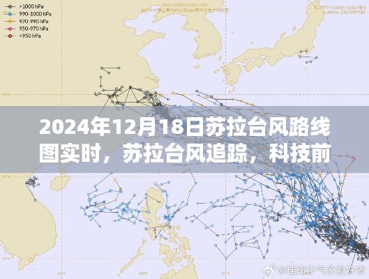 鸟穷则啄 第2页