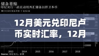 掌握金融动态，12月美元兑印尼卢币实时汇率波动解析