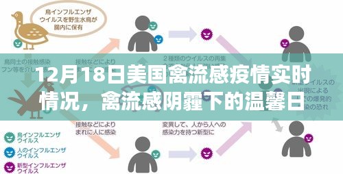 美国禽流感疫情下的邻里温情，爱与陪伴的力量