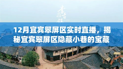 宜宾翠屏区宝藏小店实时直播盛宴，探寻隐藏小巷的特色魅力