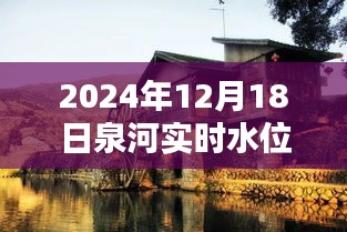 泉河水位查询官网探秘，特色小店奇遇与实时水位下载指南