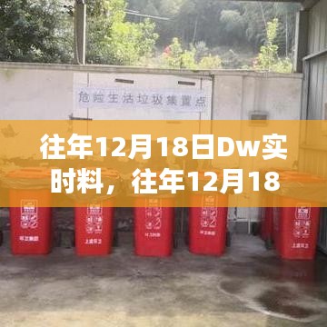 往年12月18日Dw实时料深度解析及探讨（要点详解）