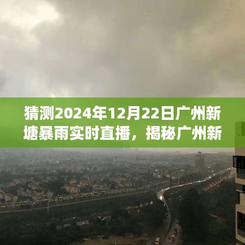 揭秘广州新塘暴雨现象，直播体验与气象奥秘探寻（2024年视角）