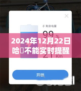 哈啰小日常，特别提醒与温暖陪伴，实时更新问题解答（2024年12月22日）