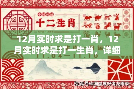 12月实时求是生肖预测指南，详细步骤助你找到幸运生肖