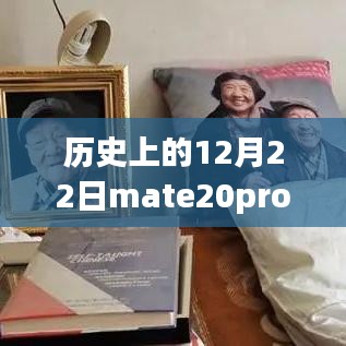 Mate 20 Pro通话实时翻译功能，历史上的诞生与影响，奇迹时刻的见证