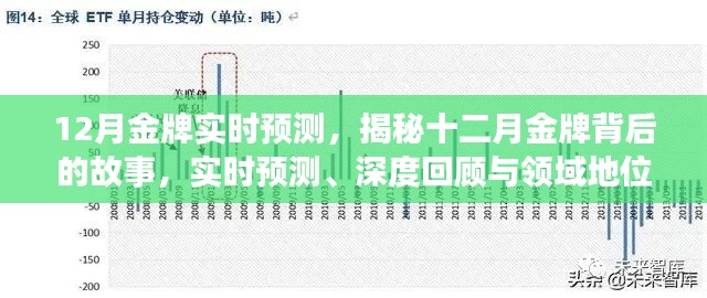 揭秘十二月金牌背后的故事，实时预测、深度回顾与领域地位展望展望报告