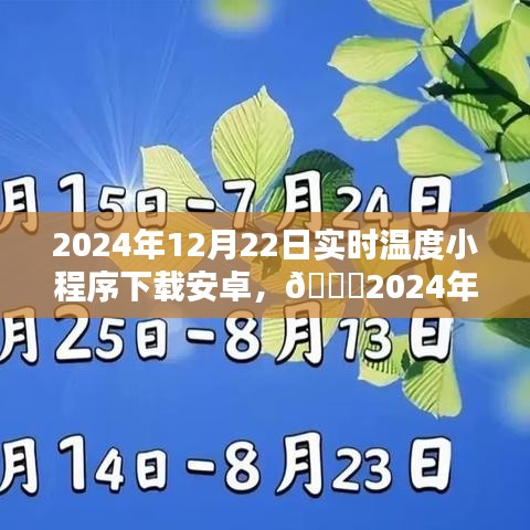 2024年最热实时温度小程序安卓版下载攻略，轻松掌握使用方法