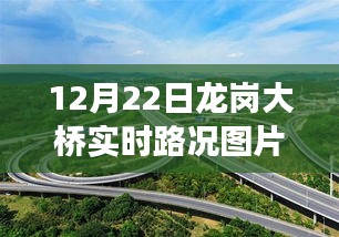 龙岗大桥实时路况与智能系统，开启智能交通新纪元