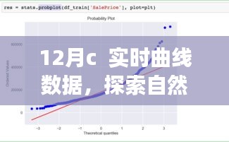 十二月C实时曲线数据，自然美景探索之旅，寻找内心的宁静与喜悦