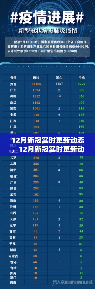 12月新冠疫情实时更新动态全面评测与介绍