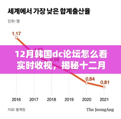 揭秘十二月韩国DC论坛，实时洞悉韩剧收视动向与违法犯罪问题探讨