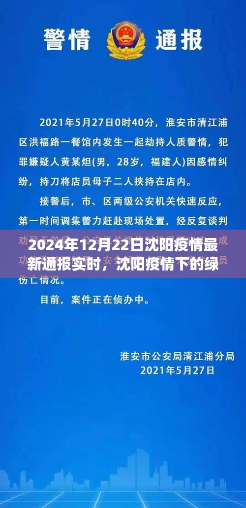 沈阳疫情下的绿色避风港，疫情最新通报与探索自然美景之旅