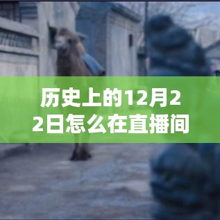 历史直播间揭秘，探寻小巷深处的特色小店，历史字幕中的独特风味