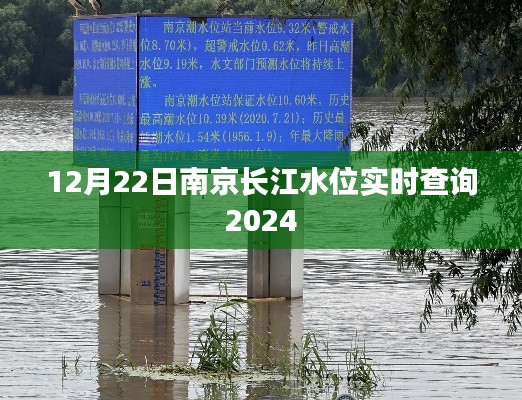 南京长江水位实时查询系统上线，轻松掌握水位信息