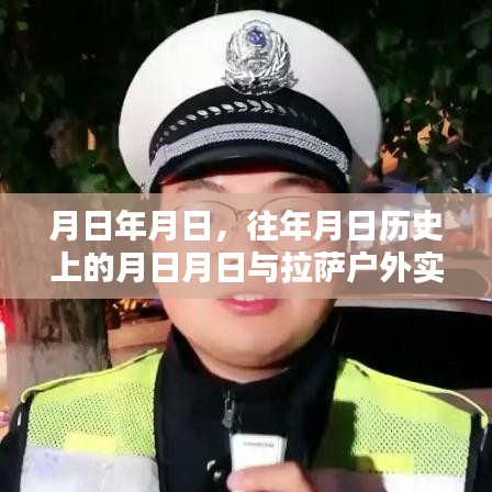 拉萨户外直播软件下载，历史与实时直播的交汇点