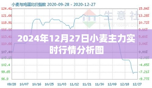 2024年小麦主力实时行情走势分析图