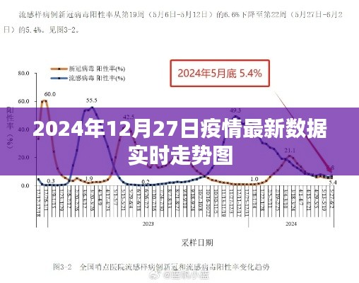 2024年疫情实时数据走势图，最新动态分析