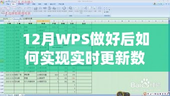 WPS实时更新数据方法指南，12月操作教程