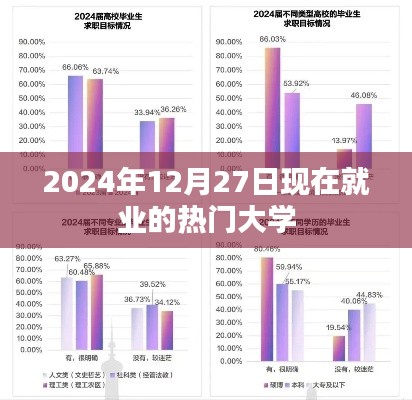 揭秘热门大学就业市场，2024年就业热门专业概览